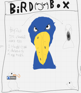 birdbox
