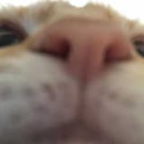 1587162955208