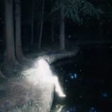 Fae