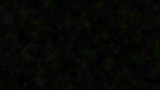 Level4