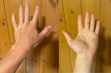 handzxc