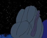 starrydreams