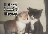miss u