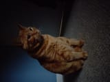 IMG_20250622_054846620