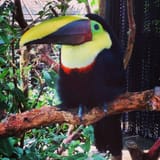 IMG_20250723_204457_314
