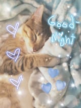 gn