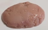 testicle5