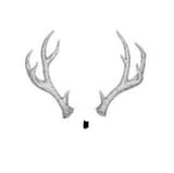 adolf antler
