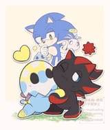 chaos (plural of chao)