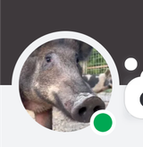 191