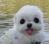 d6915e4d9baff1d6268c22cbfe8e32de