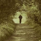 Searchingforatrail