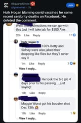 Wulky