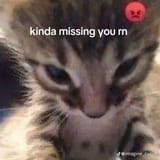 missinu