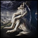 Thread 81947104 OP Image