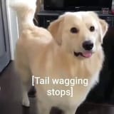 1749371622538469