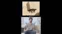 AI-generated video showcasing how the Ancient Egyptians built the pyramids (1)_thumb.jpg