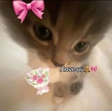 love u
