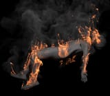 fyre