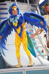 Not A Bird