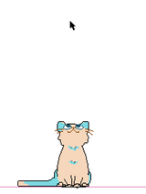 cat and mouse