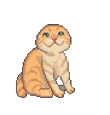 catcatcat