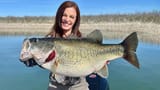 bass1