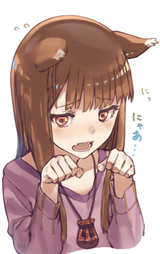 holo6