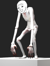 tfwlanket