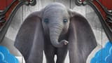 dumbo