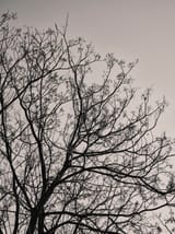 pexels-photo-11275444