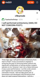 boymode reddit castrate diy