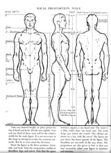 proportions