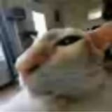 1753479247627403
