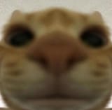 1650914237350