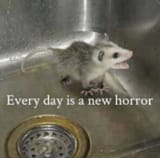 17386409567