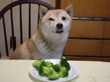 do not want