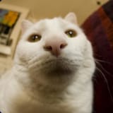 pathekit