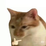 1753392331924641