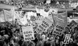 coal not dole