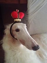 1609435450464