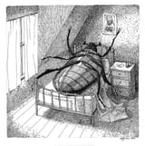 beetleboy