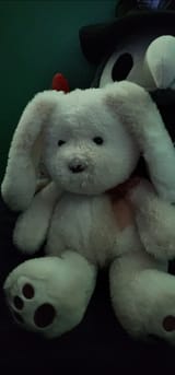 Bnnuy
