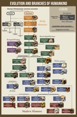 a-cool-guide-to-human-evolution-v0-53z2bl65qemd1