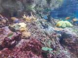 IMG_20250731_220534_885