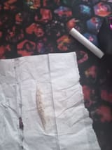 pic (2)