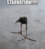 ate
