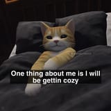cozy