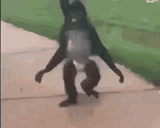 yoo