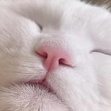 1754053687997805